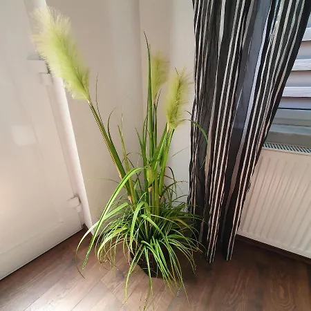 Nicerooms Aachen Würselen